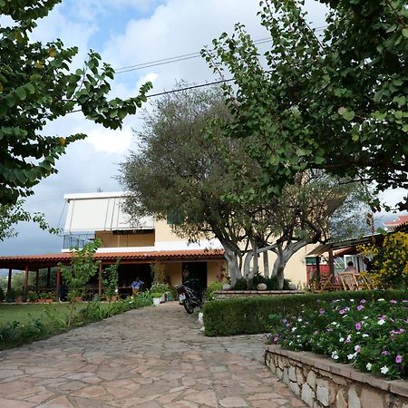Hotel Agrotourism Himara Exterior foto