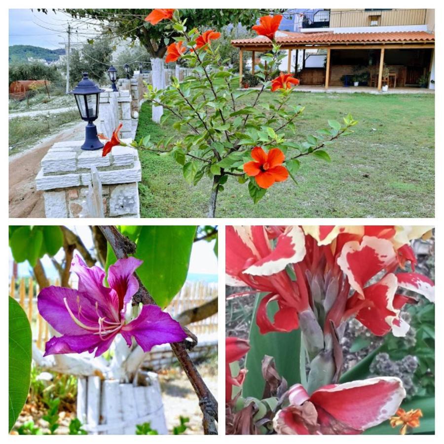 Hotel Agrotourism Himara Exterior foto